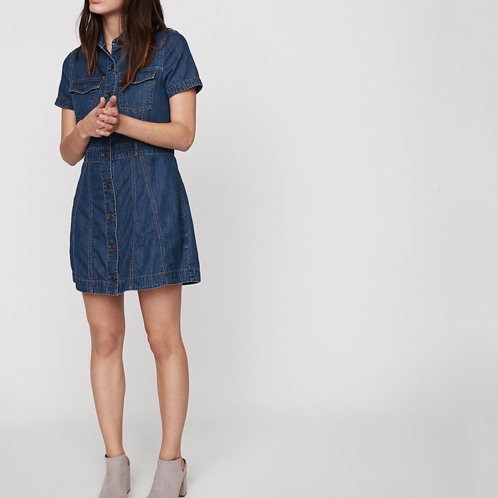 Express Denim Sheath Dress